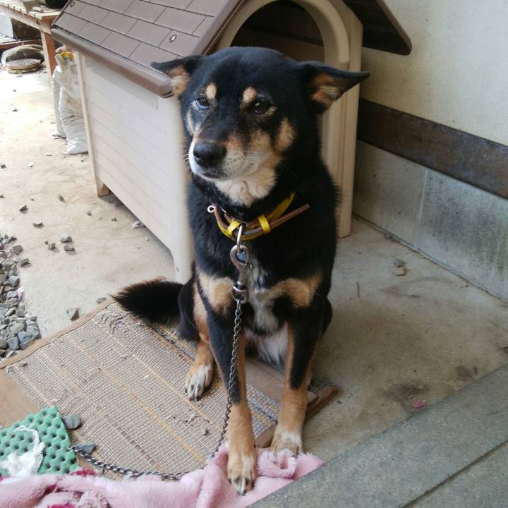 Ffdd1739 db04 4bcd a479 8c2ed352f6e4 1514696799328