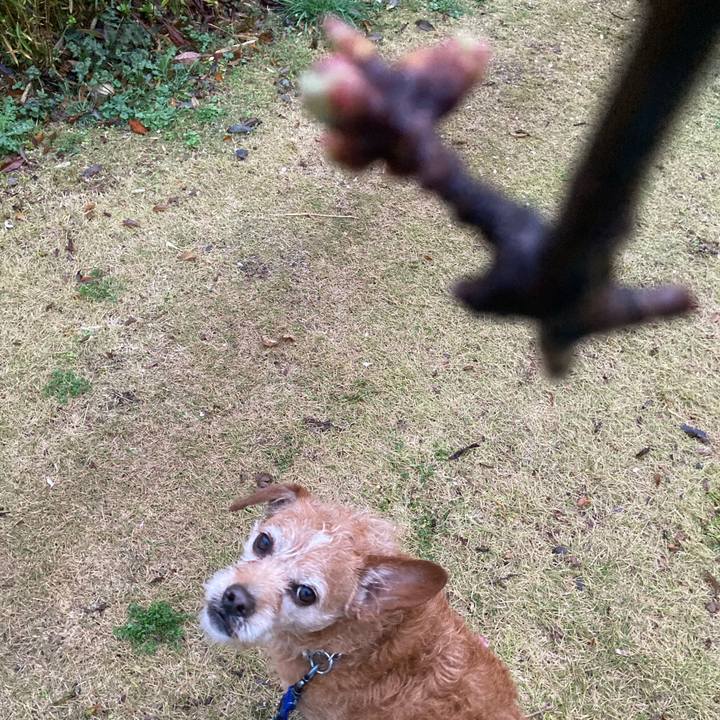 Ffdd4a0b b58b 48e2 a993 7cb7ebe85a25 1711445426565