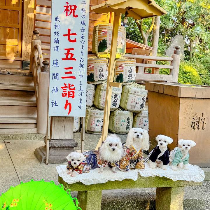 Ffdd51a2 3419 4e8a b732 00f486812929 1731586083497