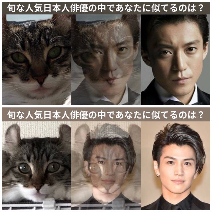 Ffdd8772 5512 4c34 bec9 a8905c53cd19 1528535071009