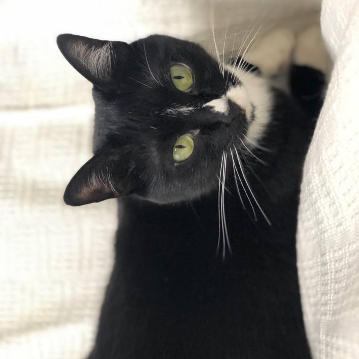 Ffdda3b9 04fa 49f2 aad7 ab2af1f469e8 1561953292473