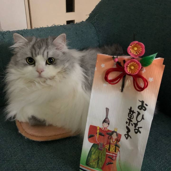 Ffddc1ff 7964 4a54 b341 192abf08c4a2 1552485447561