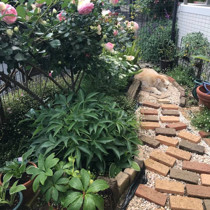 Ffddd7cc c972 4d18 9339 38bca8166c70 1620729504064