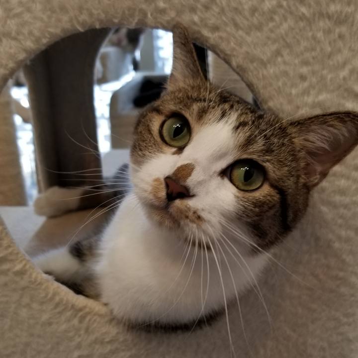 Ffdde40a a62f 44e0 b13b a9e5ebbbeeed 1538030015934