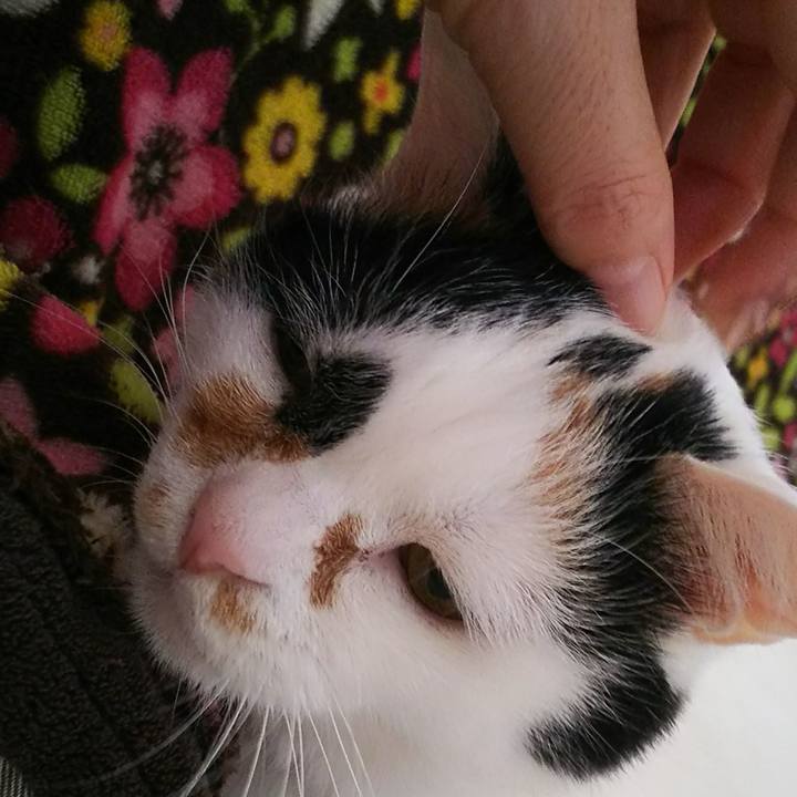 Ffde0371 d26d 41a5 b9df 00fa93a1b1ed 1548635240251