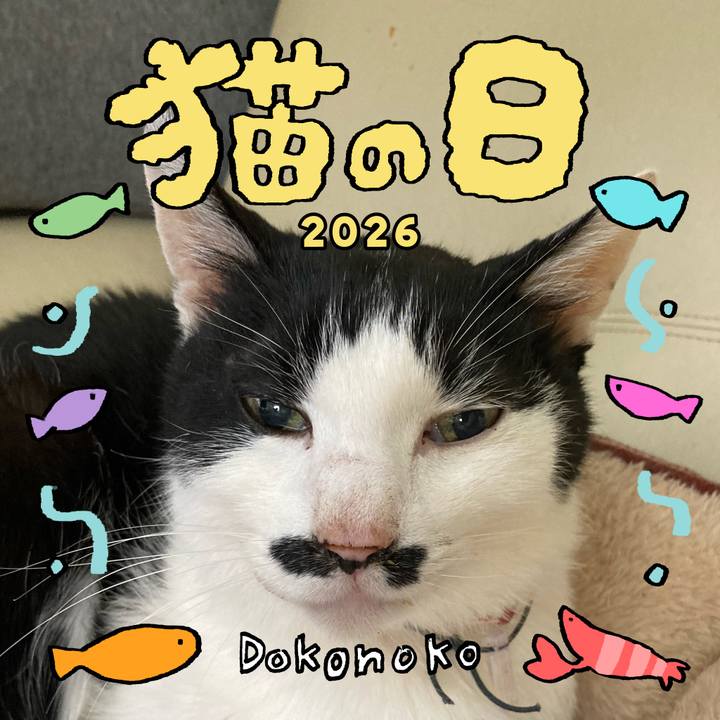 Ffde5d74 2dfd 4eb6 a84f 499aa99258b1 1771687265792