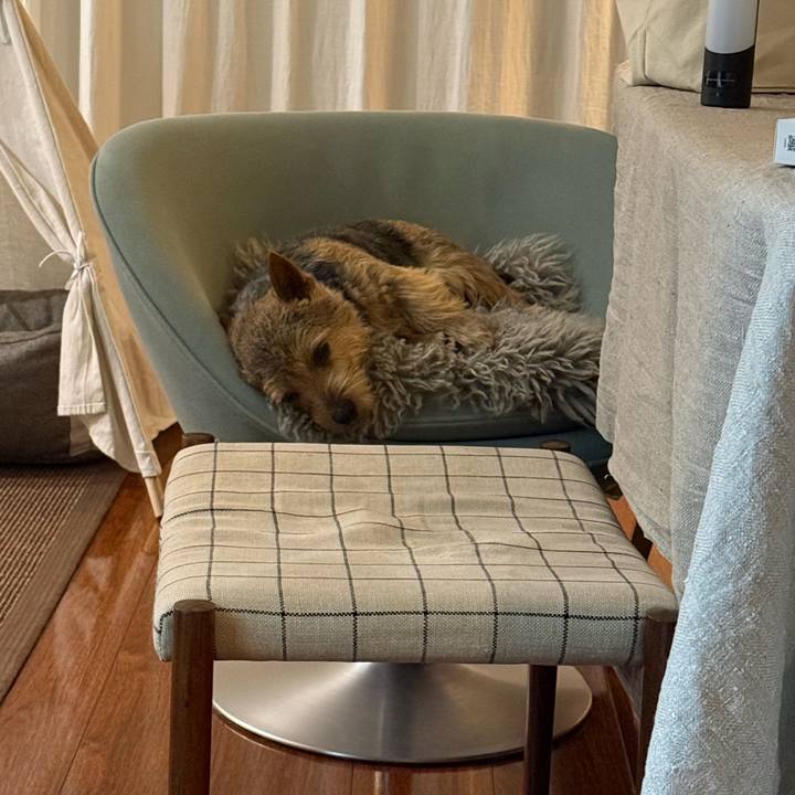 Ffde7e7b 3018 4630 9737 ec1682672f14 1774872314449