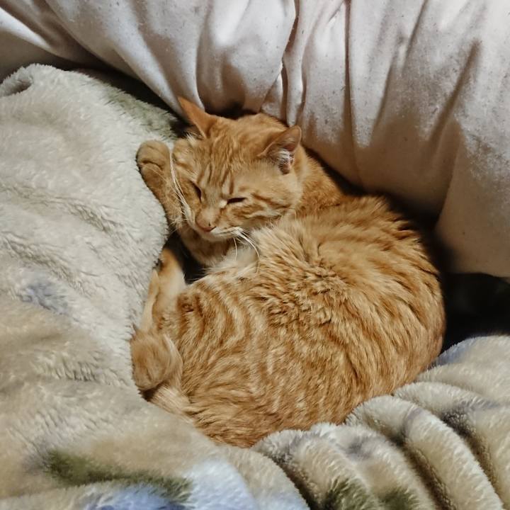 Ffde823c b914 445d ae56 e41e3c67ee34 1650372715619