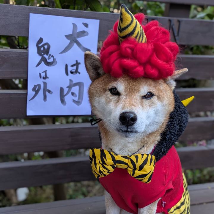 Ffde83e7 532c 4fbd 8f6b 296ab2759eb7 1738488054353