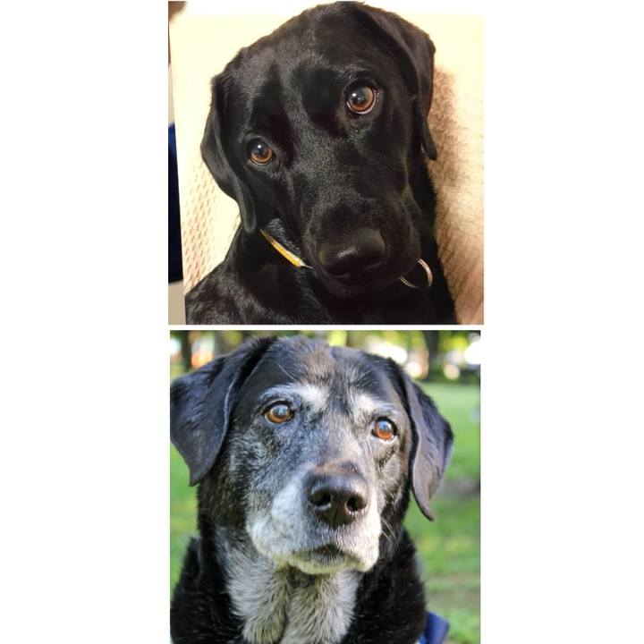 Ffdeb2eb 0a85 4c9e 8755 b36c133a57a2 1715691340647