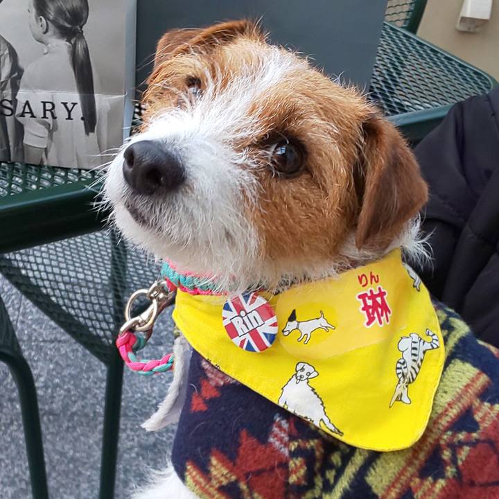 Ffdf2f7b 7bfe 4320 b3b7 4b702facaa3d 1590811099010