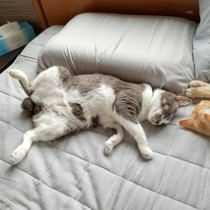 Ffdf3322 d52e 4d32 a0e2 84437265b88f 1617515431969