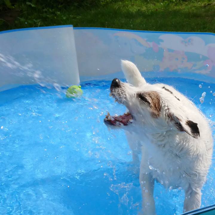 Ffdf5f53 a9c1 4af9 a0d6 c039f2160d6c 1530315772272