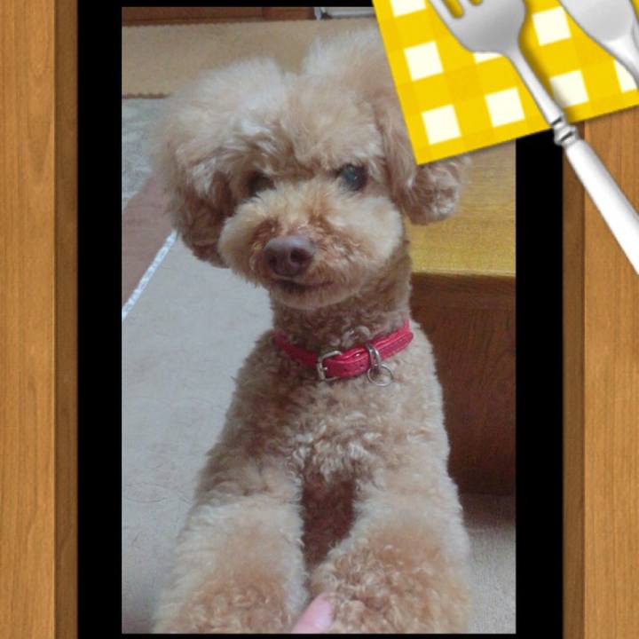 Ffdf72d6 12bf 49cb a529 3b94d271c98b 1523360357865