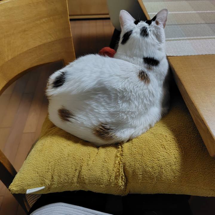 Ffdf7f8d 02f4 45f4 85fc 0f245003d7d7 1716894016574