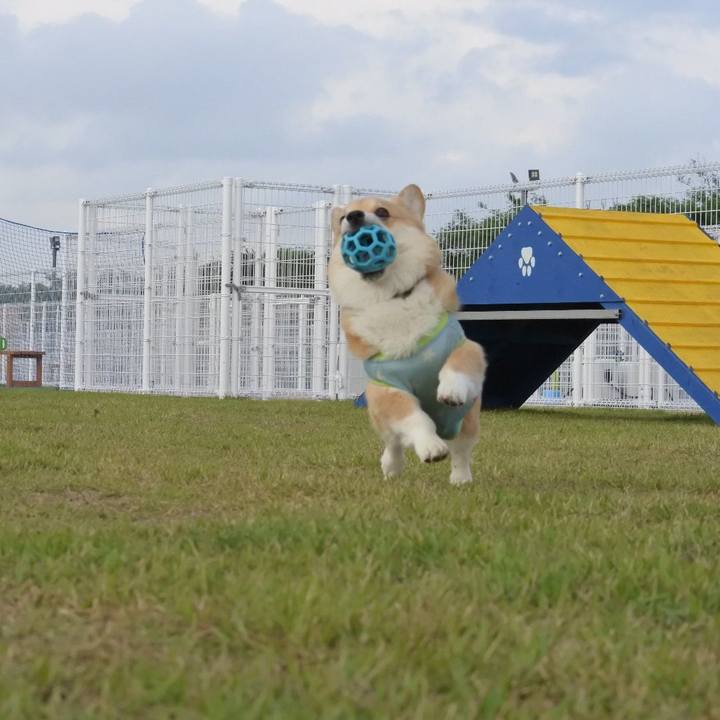 Ffdf97ab 6c2b 42cf b0e2 f6ccb59906ec 1593347458983