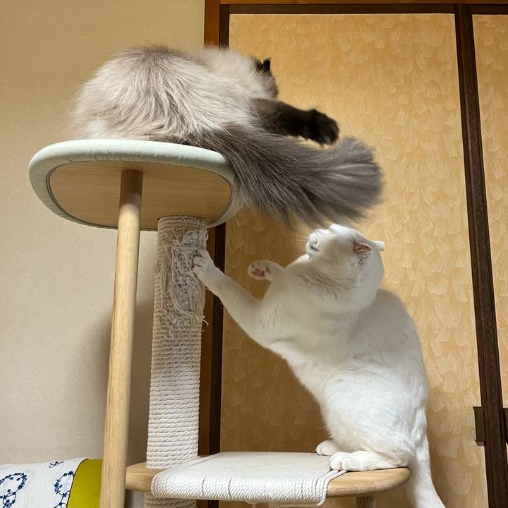 Ffdfac59 c901 455d b834 71c323327516 1749904155180