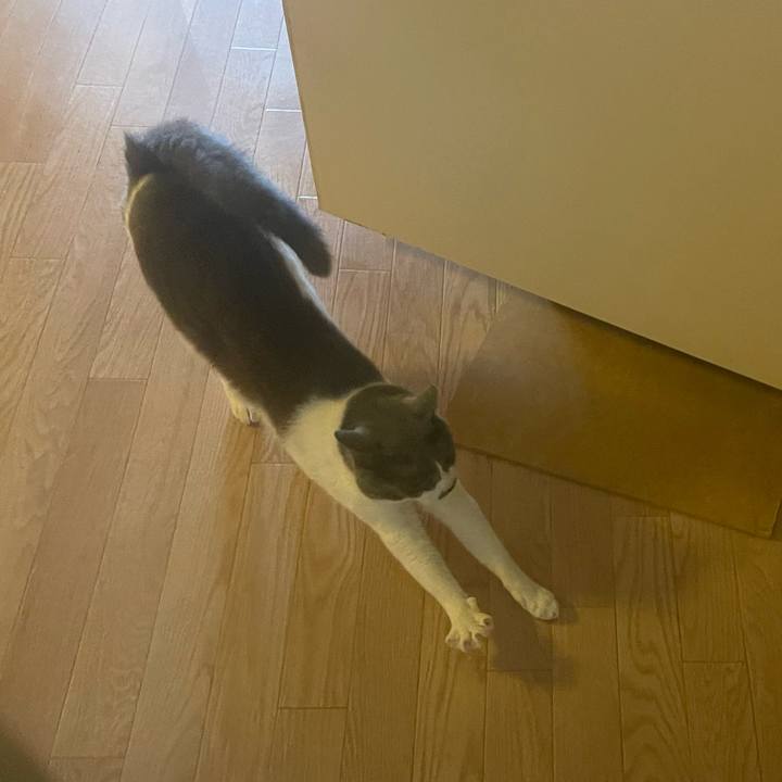 Ffdfba1f 8341 4dfb 9fb2 ed80de0d6f9f 1652681917368