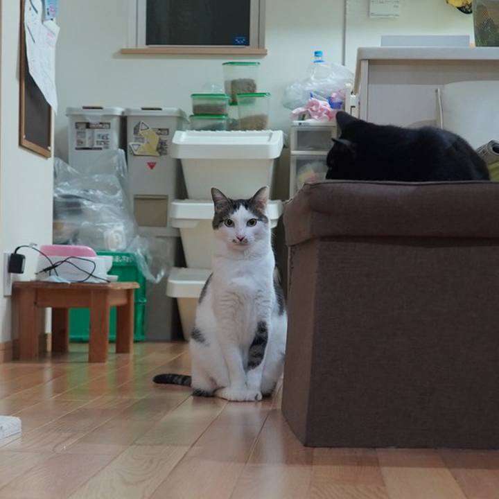 Ffdfc6e8 b13b 41e5 beac 3fc601a7b2a1 1616336064541