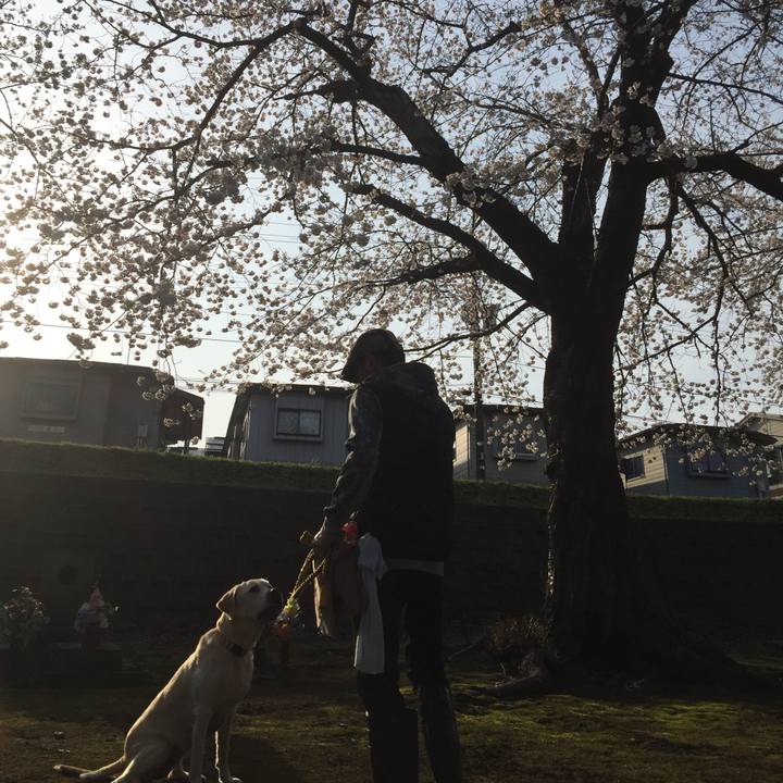 Ffdfe417 707b 4e37 8ed2 c36aa36e6beb 1554555730304