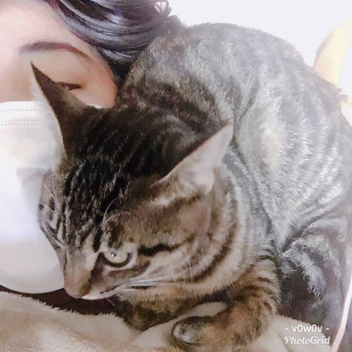 Ffdfeb8a d974 4026 a769 7a9f207b052a 1546146438864