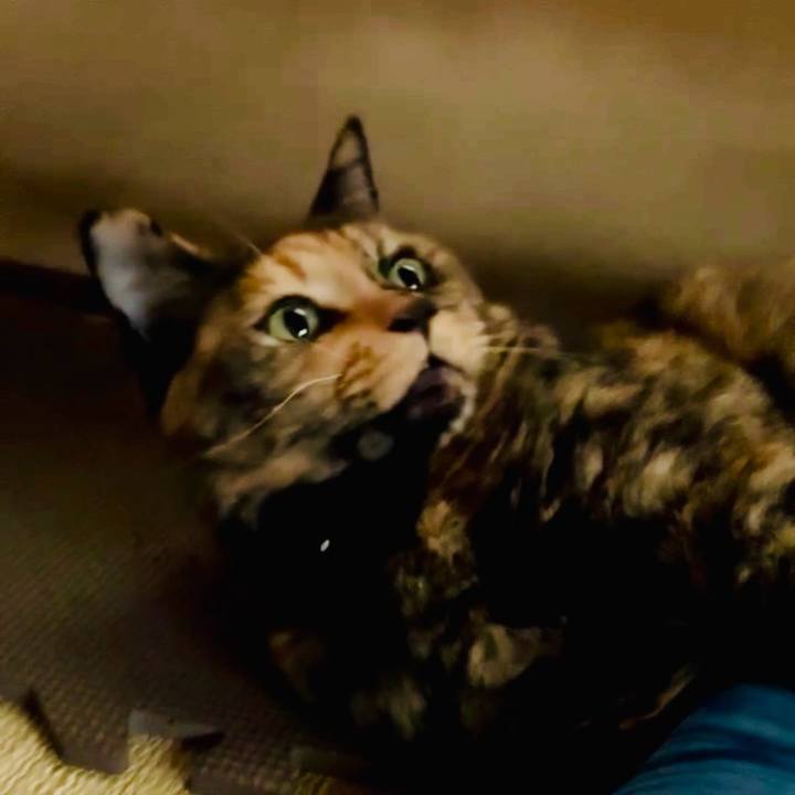 Ffe002af aa52 4ae8 b011 3b6345e3dc88 1755251569875