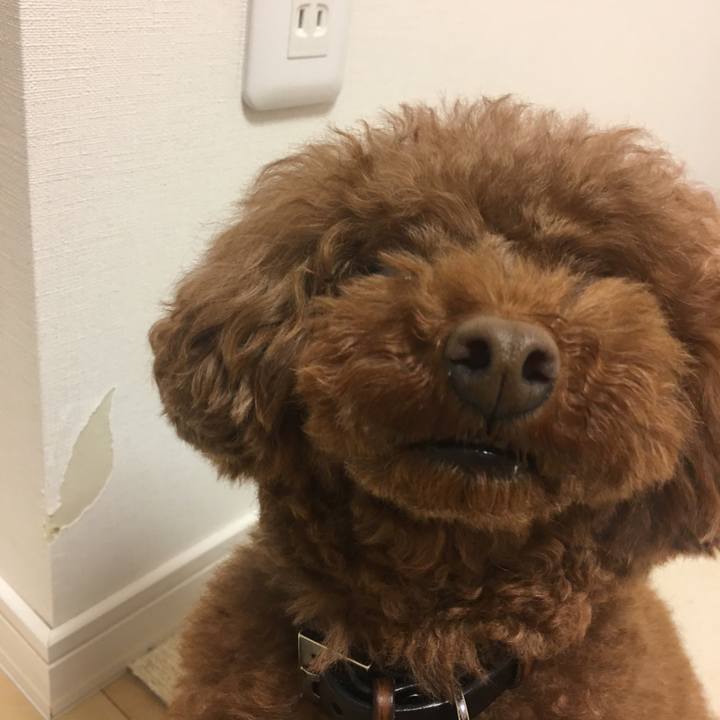 Ffe03249 3007 4448 aca5 c8d7a1de9b4e 1526635153001