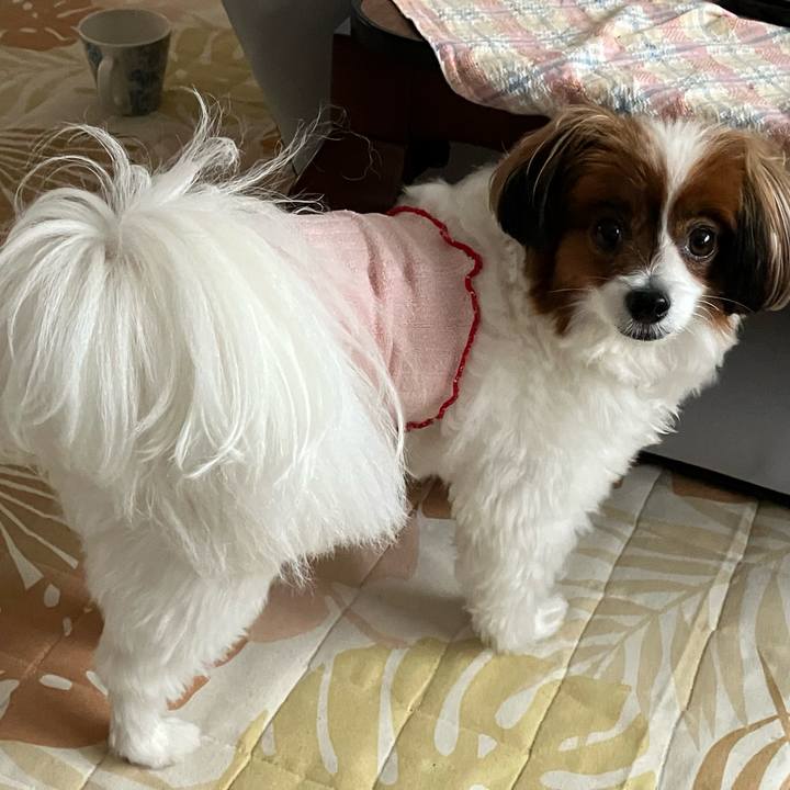 Ffe0490c d143 4786 a3d0 bc63ff84aaa6 1753398190025