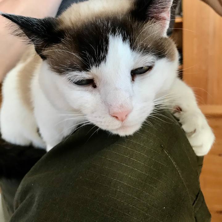 Ffe04fa7 f066 44ba 95d3 462ca6724ab3 1587282482656