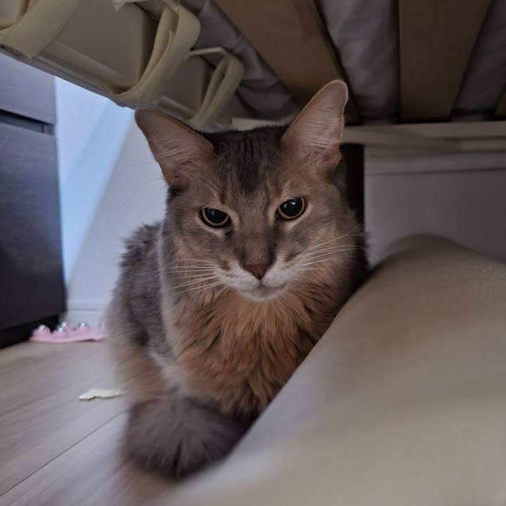 Ffe07750 bdc8 49b8 9ee6 62f5ea1b6118 1669423421475