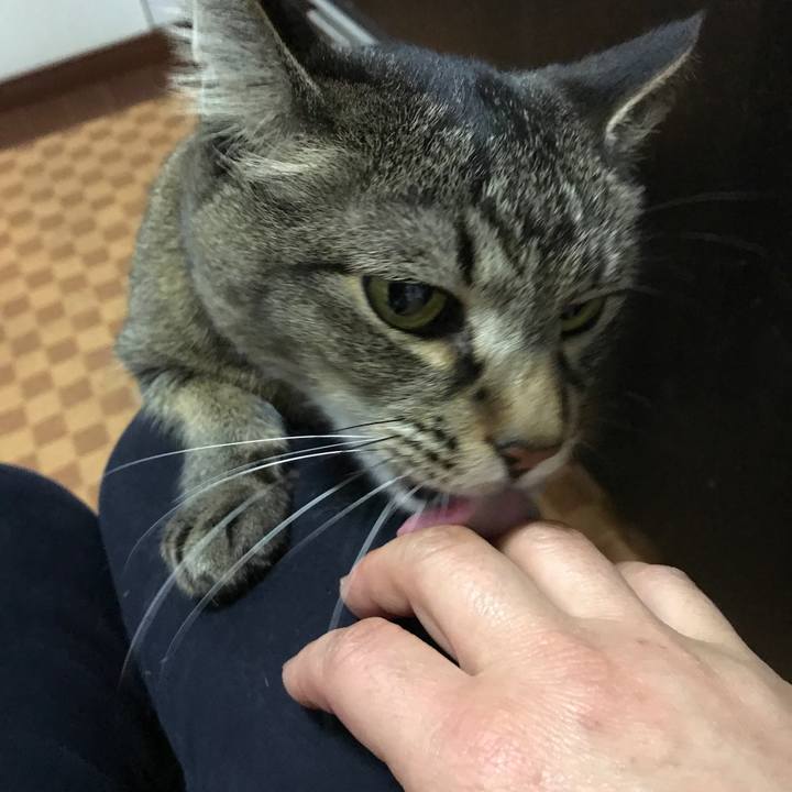 Ffe09029 cf9f 407b 8491 83c6a70f701c 1524804679025