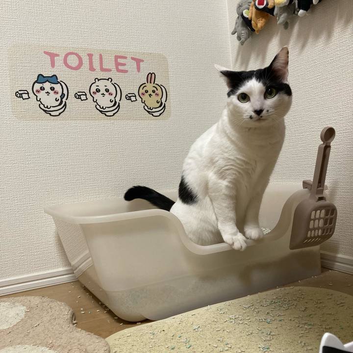 Ffe0ba40 d86b 4247 96aa d64202d6f80a 1767191163381