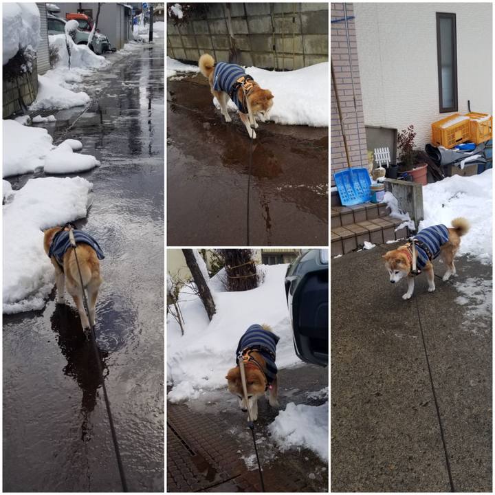 Ffe0c2e8 e2f2 4f9b a7d1 0497bfd66ad9 1770610475940