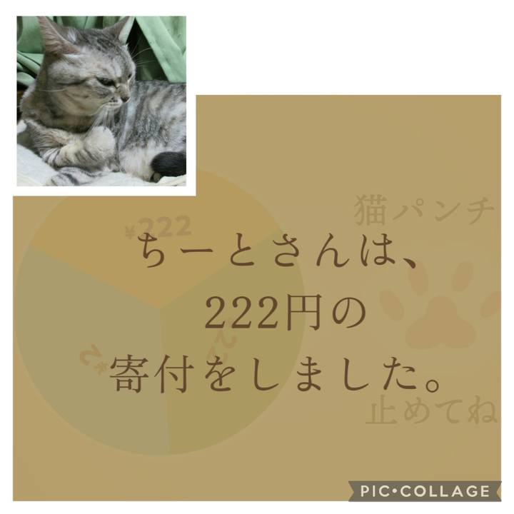 Ffe0d284 3b0f 4afb b161 74f784b26709 1708819600128