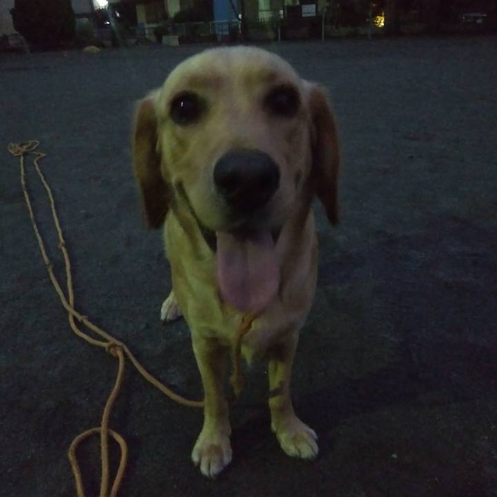 Ffe0f6db e462 4d50 9646 810a45d6bf72 1528840018104