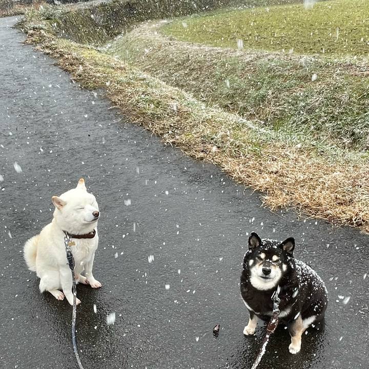 Ffe10250 bd82 4c8a a622 0a20c1f2ed58 1671333804464