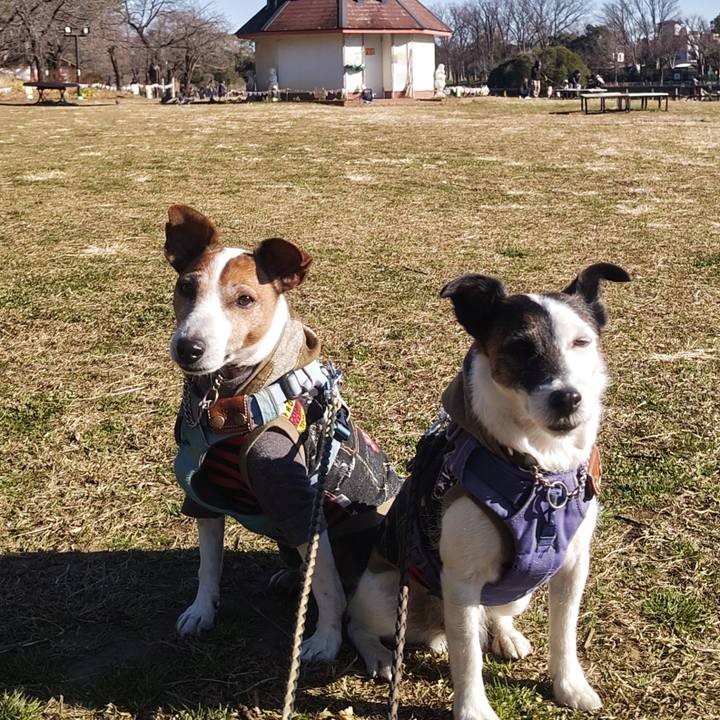 Ffe127ea a30e 41fc a0d7 eaf8fa316cea 1768182168670