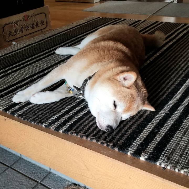 Ffe13545 fb37 4afa 861c ee8f3697b3aa 1624834638741