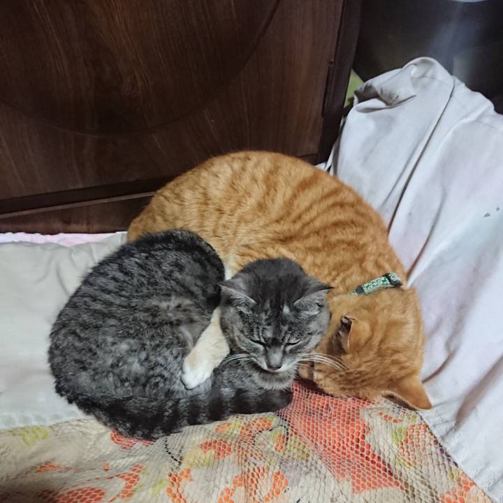 Ffe17519 7ae6 4a19 b473 53e2bc99cdcf 1584018721960