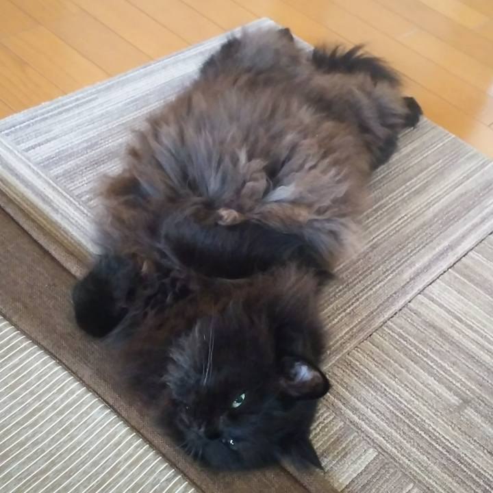 Ffe17800 96e2 496e 839f 6993d5269a51 1536969958865