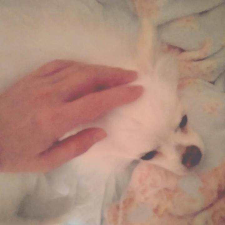 Ffe1a6ed 8ce8 44a7 a629 805c0ab4644a 1686702694788