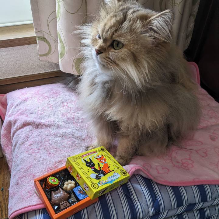 Ffe1ba79 0447 4f78 bc7e f6cc023c9f7e 1678777656078