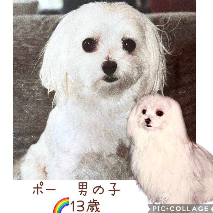 Ffe1c3c4 9944 409f 8ffb f6402ca30ab3 1655372350691