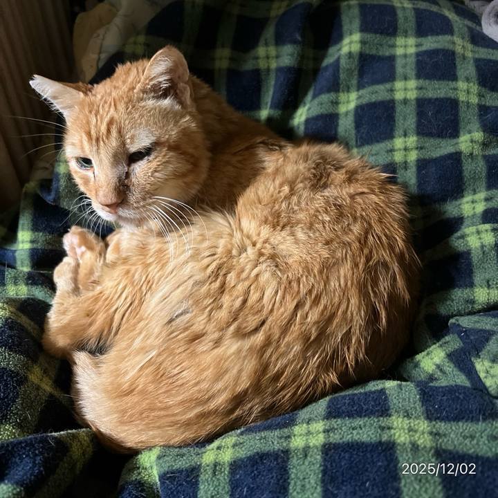 Ffe1d361 a065 4a6d 8818 8d7653c54212 1764626953317