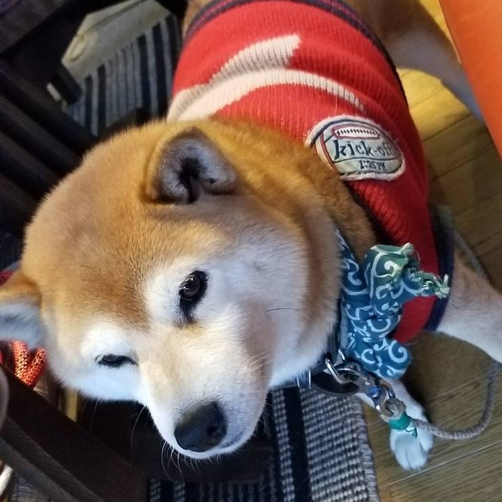 Ffe21fa4 35d8 44d3 b739 51adaa0cb0ce 1520153131749