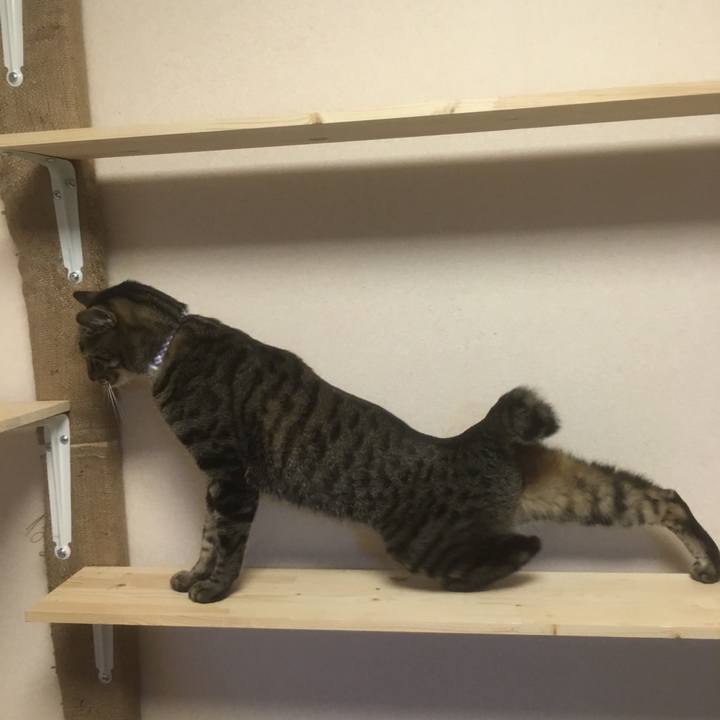 Ffe23f06 ef8a 483f 831c 047daa7a1aa8 1544535528696