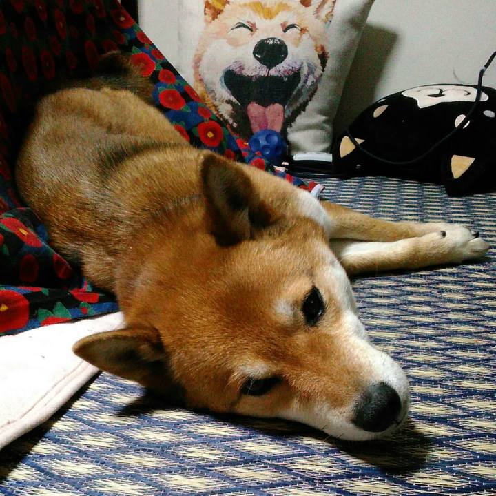 Ffe27268 097d 4812 8d1c 6f38c0392e77 1519481773048