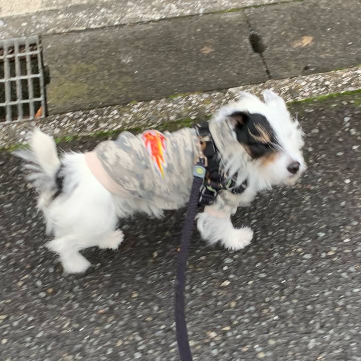 Ffe29694 3542 447f b30b e3d4b1efb07f 1669420290389