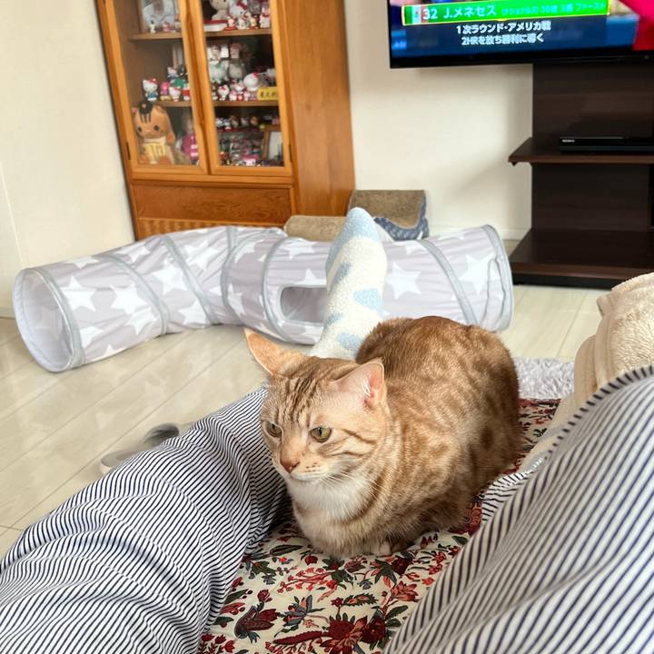 Ffe297c7 bcad 4e09 a0c2 11e63735a0da 1679357011247