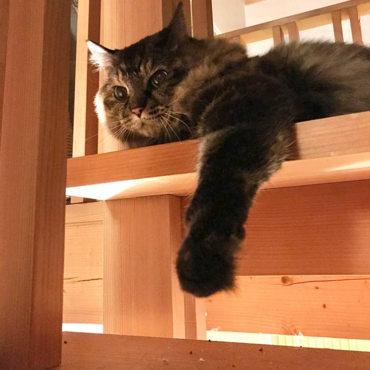 Ffe2bf62 7433 48eb b4d3 28a70f636abc 1600131397285